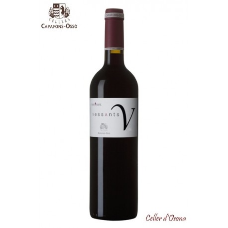 VI NEGRE VESSANTS MONTSANT 2009