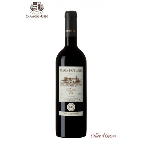 VI NEGRE MASIA ESPLANES MONTSANT 2007