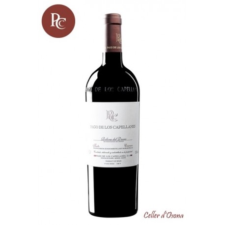 VI NEGRE PAGO DE CAPELLANES CRIANÇA MAGNUM DUERO/VAL 2021