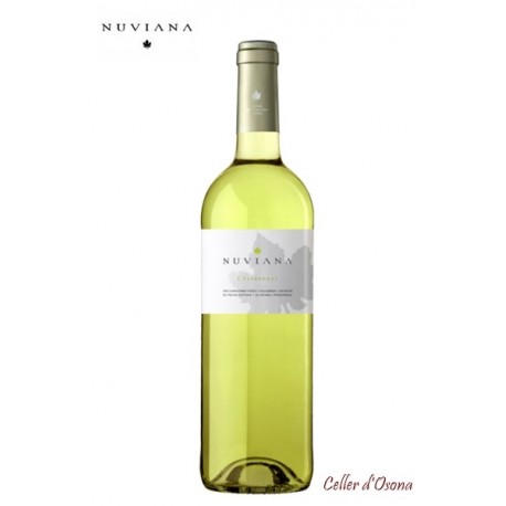 VI BLANC NUVIANA - VALLE DEL CINCA ESPANYA 2023