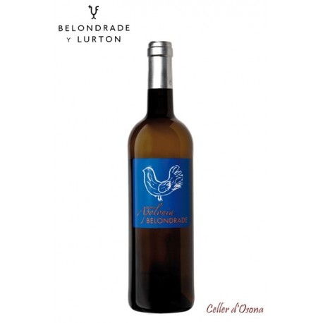 VI BLANC QUINTA APOLONIA (BELONDRADE&LURTON) RUEDA 2022