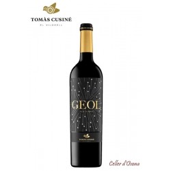 VI NEGRE TOMAS CUSINE GEOL C.SEGRE 2016