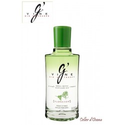 GINEBRA GVINE FLORAISON