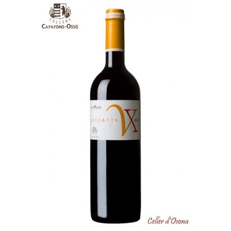 VI NEGRE VESSANTS XIC MONTSANT 2011