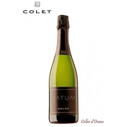 CAVA NATURE COLET VATUA EXTRA BRUT PENEDES 2017