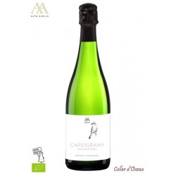 CAVA NATURE ALTA ALELLA BRUANT 2017