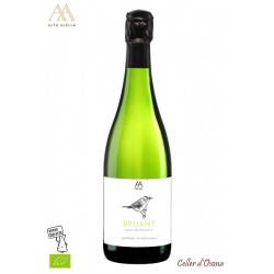 CAVA NATURE ALTA ALELLA BRUANT 2017