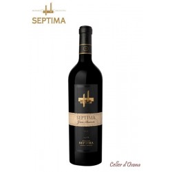 VI NEGRE SEPTIMA GRAN RESERVA IMPORTACI 2012