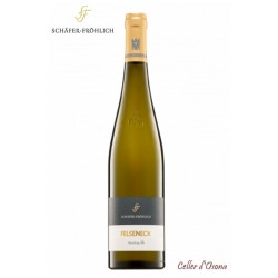 VI BLANC S.FROHLICH FELSENECK G.G. RIESLING ALEMANYA 2013