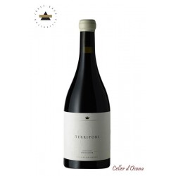 VI NEGRE TERRITORI J.GRAU MONTSANT 2019