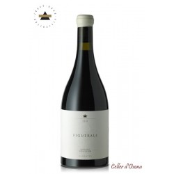 VI NEGRE FIGUERALS GARNATXA J.GRAU MONTSANT 2016