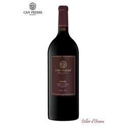 VI NEGRE CAN FEIXES MAGNUM RESERVA PENEDES 2013