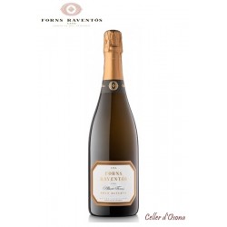 CAVA NATURE FORNS RAVENTOS GRAN RESERVA "ALBERT FORNS" 2017