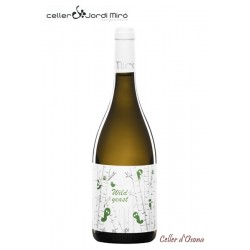 VI BLANC JORDI MIRO MACABEU BLANC TERRA ALTA 2019